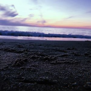 Meet your Posher, Juliette